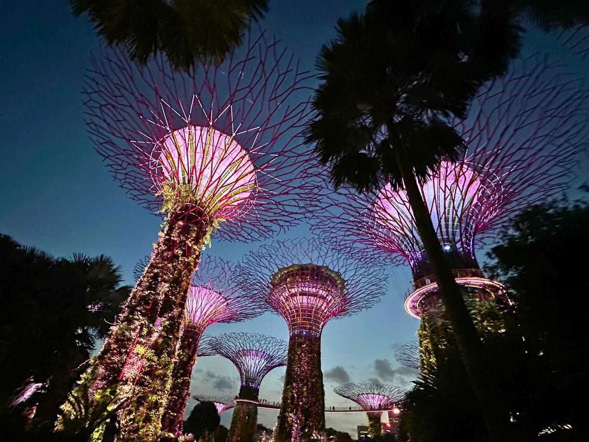 Gardens by the Bay at Night: Supertrees, Light and Design