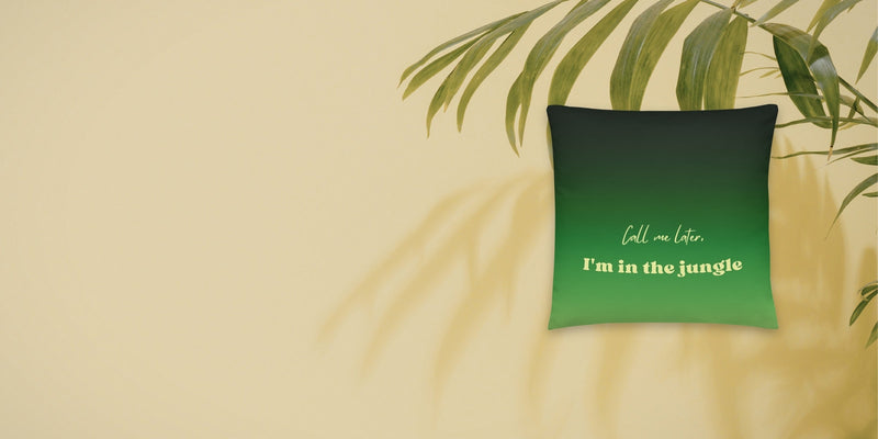 Pillows & Pillow cases