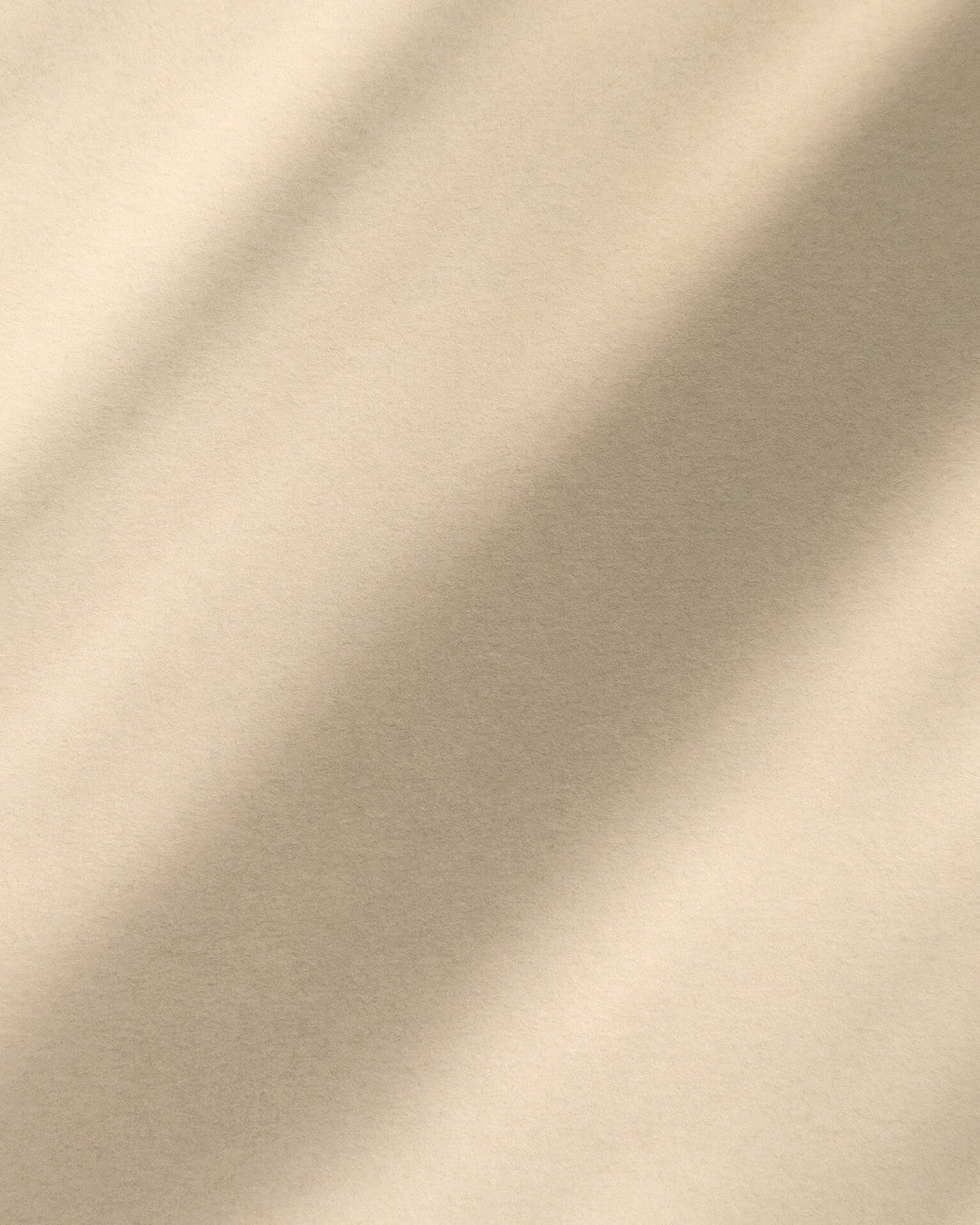 Beige wall with subtle tropical shadows of leaves