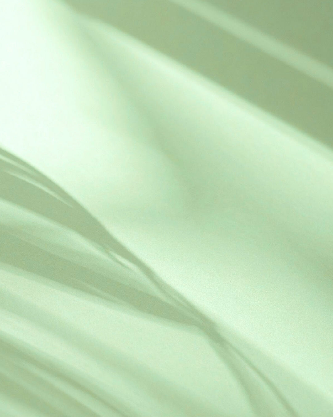 Silky fabric green wall with sunlight filtering through leaves
