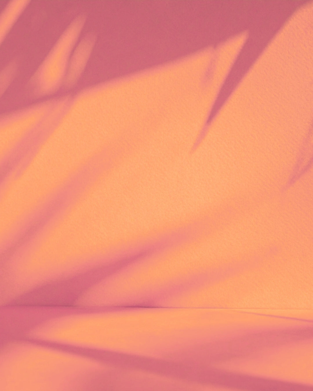 Orange studio wall and floor with pink shadows of tropical palm leaves