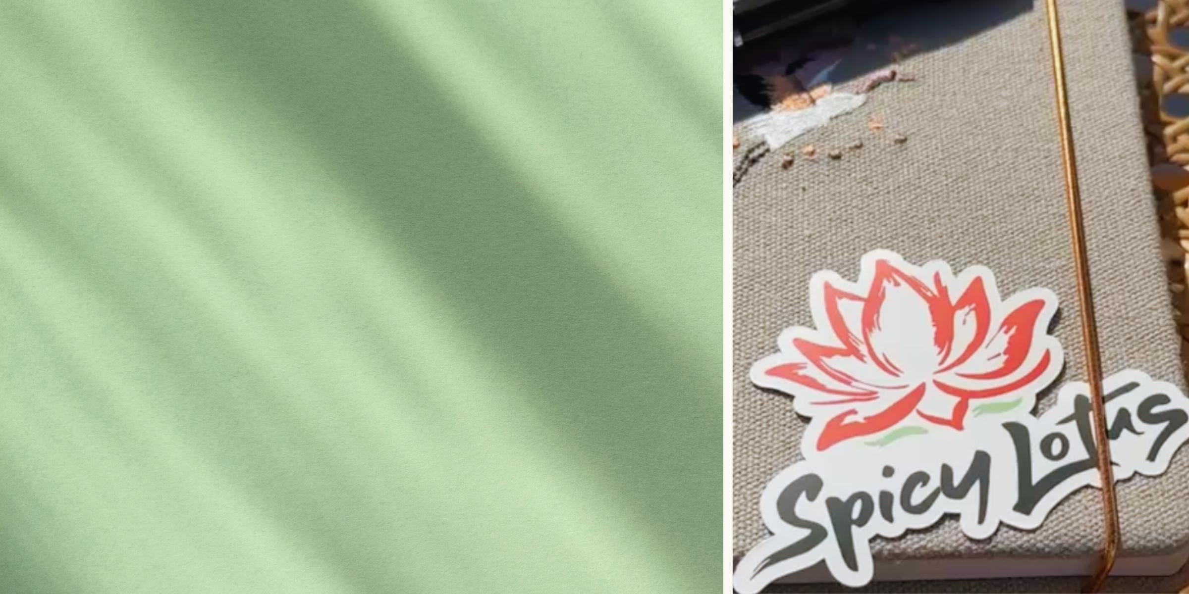 Banner for collection with green background and image of a notebook with Spicy Lotus brand sticker.