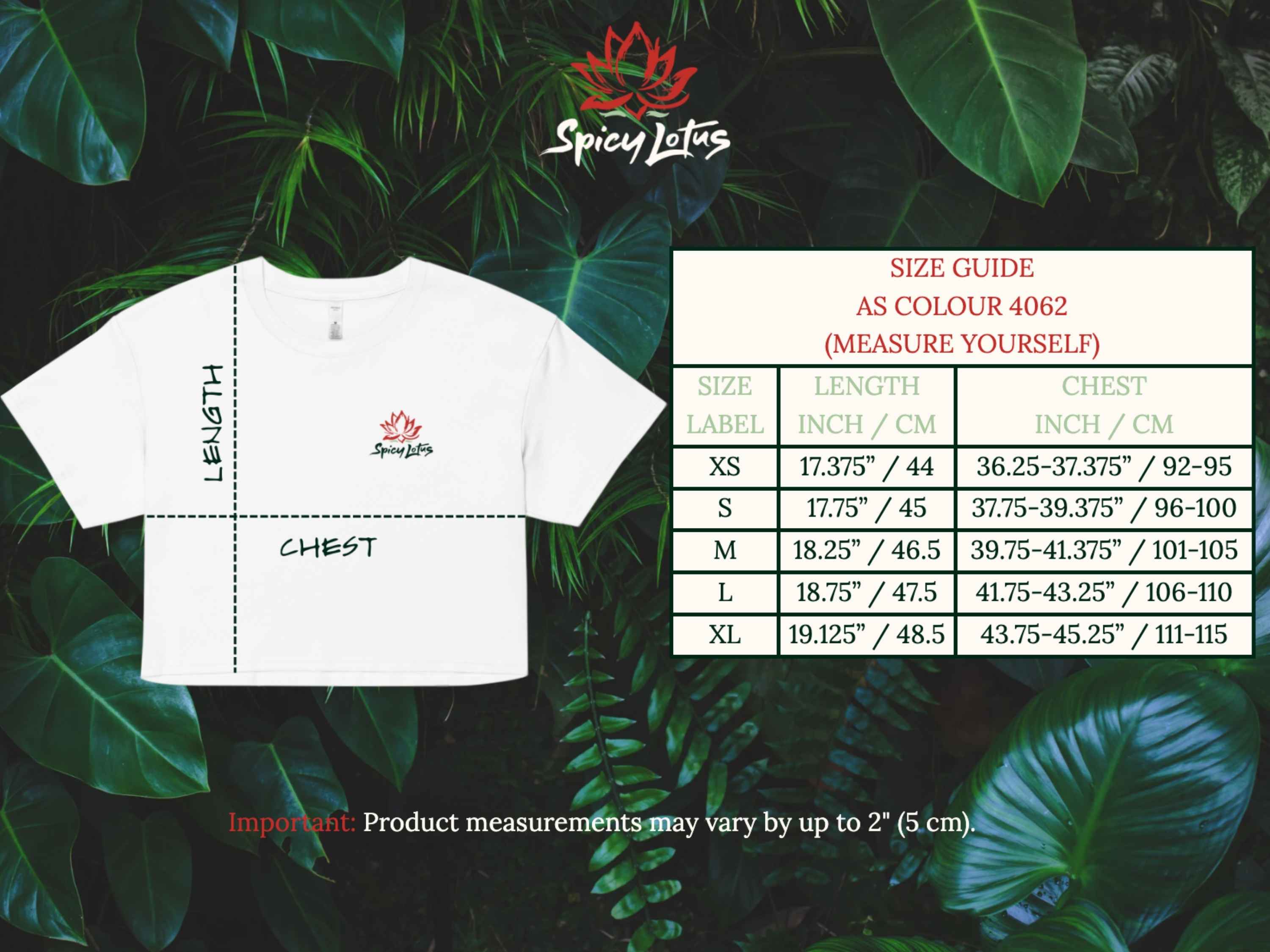 Size Guide: Measure Yourself for AS Colour 4062 Crop Top
